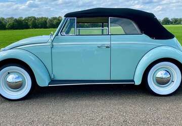 VW Käfer 11.761 km 45.500 &euro; Bad Bentheim 48455
