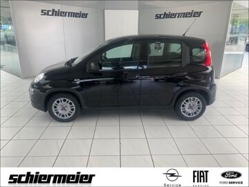 Gebrauchte Fiat Panda